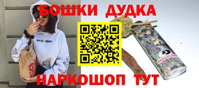 МДПВ Дубна