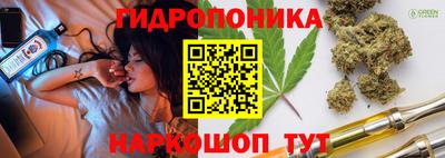 МДПВ Дубна