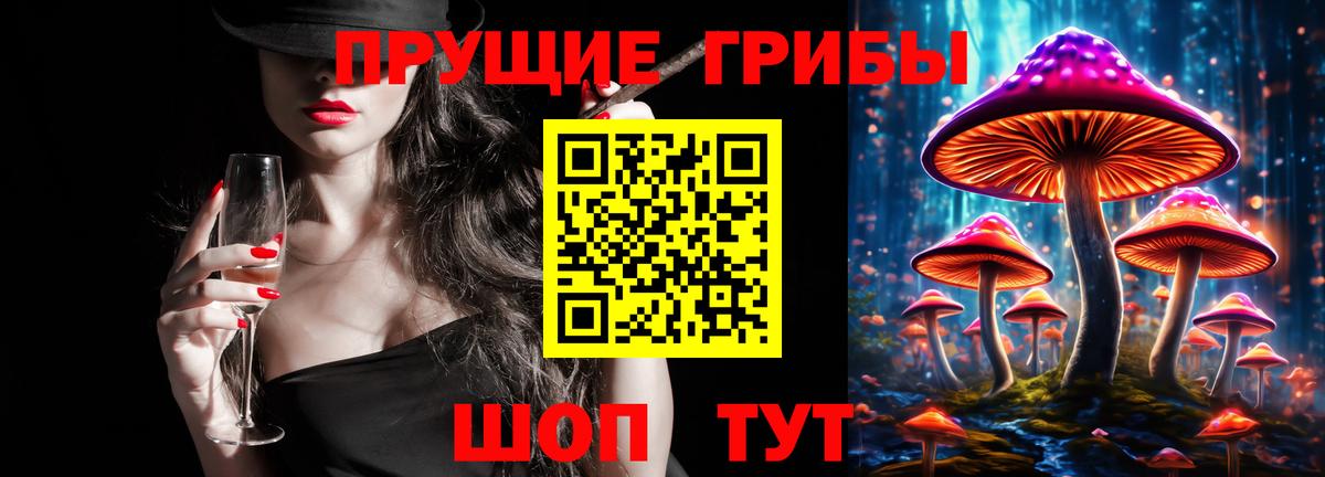 Псилоцибиновые грибы MAGIC MUSHROOMS Камышлов